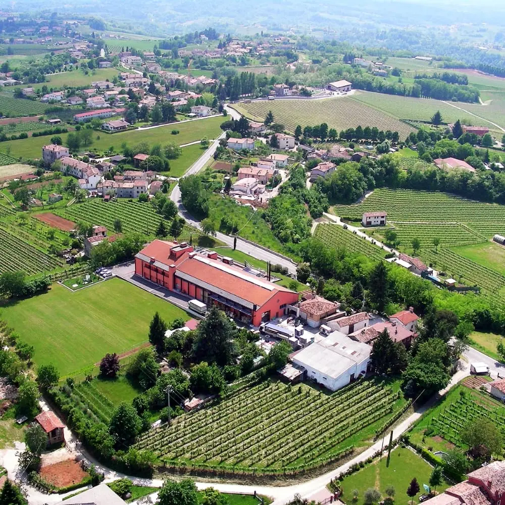 Il Colle - Odroda - Glera