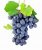 Wines by color