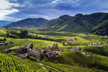 Prosecco: Perla severní Itálie – Objevte nejlepší značky a chutě