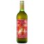Rochester organic Root Ginger - nealkoholický zázvorový nápoj (725ml) Rochester organic Root Ginger - nealkoholický zázvorový nápoj (725ml)